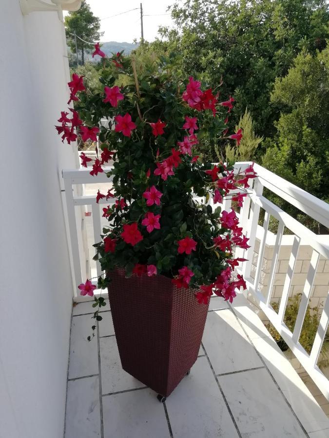 Apartments Ivona Лумбарда Екстериор снимка